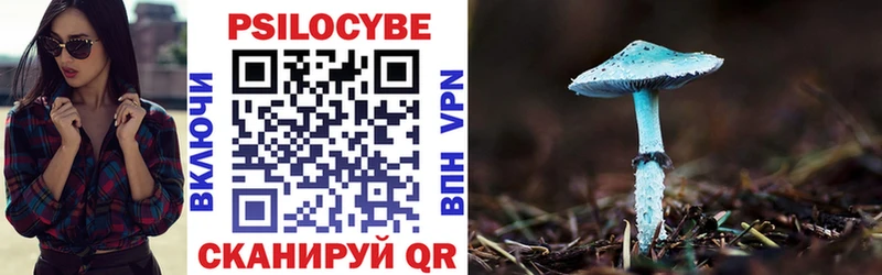 mega как войти  Гай  Галлюциногенные грибы MAGIC MUSHROOMS 