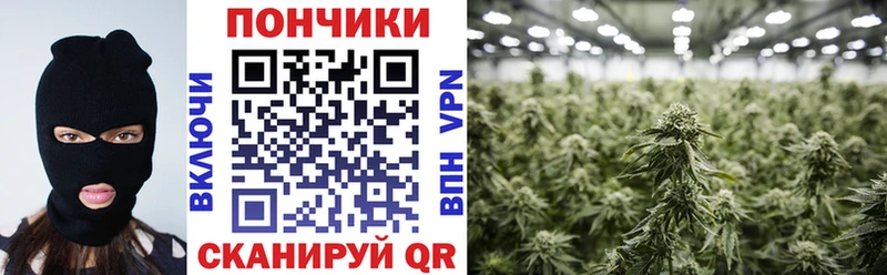 даркнет сайт  Гай  блэк спрут как зайти  Шишки марихуана SATIVA & INDICA 